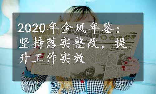 2020年金凤年鉴：坚持落实整改，提升工作实效