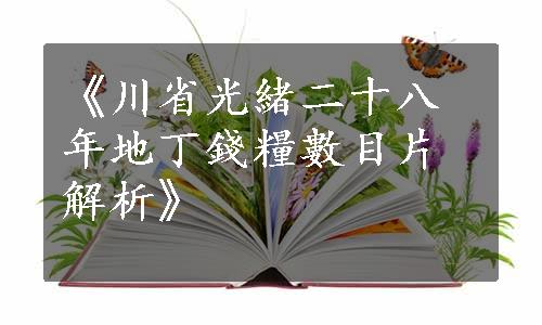 《川省光緒二十八年地丁錢糧數目片解析》