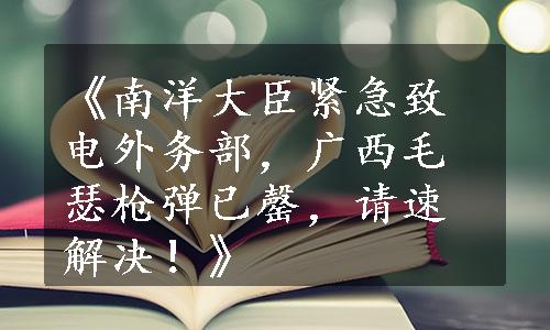 《南洋大臣紧急致电外务部，广西毛瑟枪弹已罄，请速解决！》