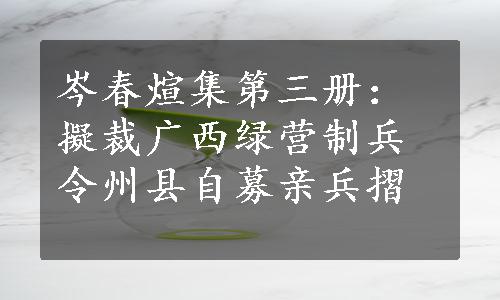 岑春煊集第三册：擬裁广西绿营制兵令州县自募亲兵摺