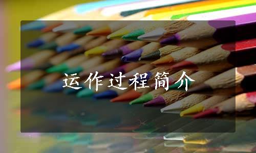 运作过程简介