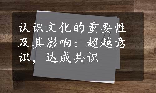 认识文化的重要性及其影响：超越意识，达成共识