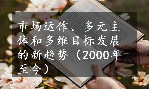 市场运作、多元主体和多维目标发展的新趋势（2000年至今）