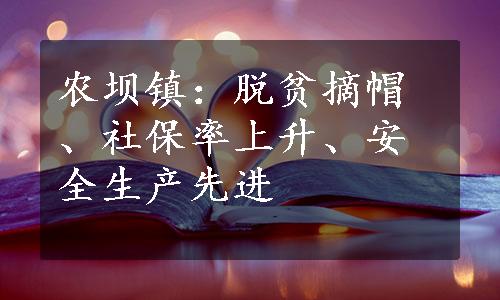 农坝镇：脱贫摘帽、社保率上升、安全生产先进