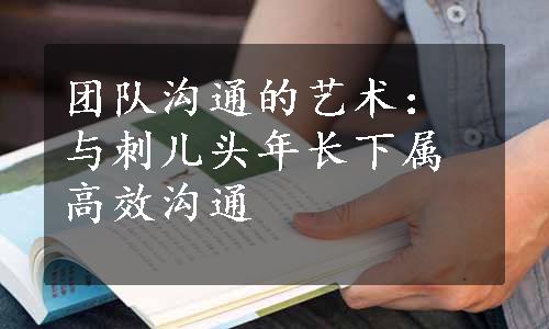 团队沟通的艺术：与刺儿头年长下属高效沟通