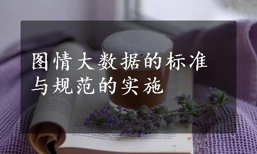 图情大数据的标准与规范的实施