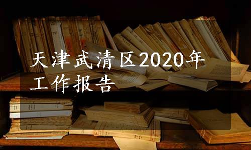 天津武清区2020年工作报告