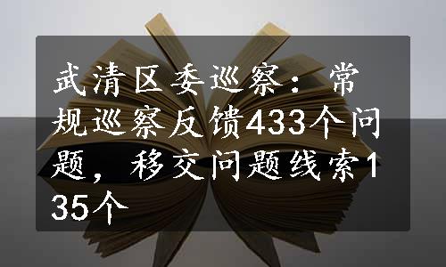 武清区委巡察：常规巡察反馈433个问题，移交问题线索135个