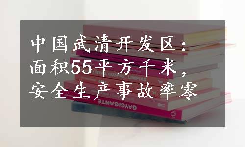 中国武清开发区：面积55平方千米，安全生产事故率零