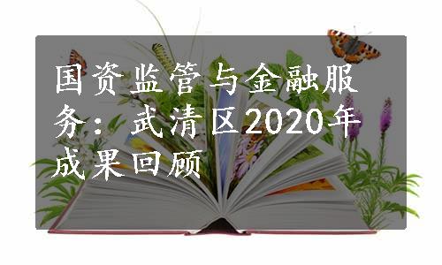 国资监管与金融服务：武清区2020年成果回顾