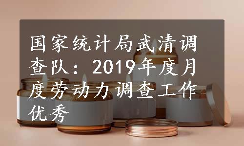 国家统计局武清调查队：2019年度月度劳动力调查工作优秀