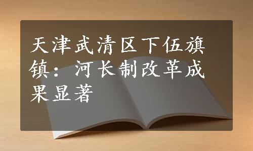 天津武清区下伍旗镇：河长制改革成果显著