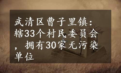 武清区曹子里镇：辖33个村民委员会，拥有30家无污染单位