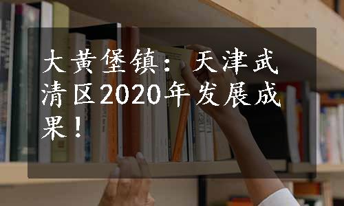 大黄堡镇：天津武清区2020年发展成果！