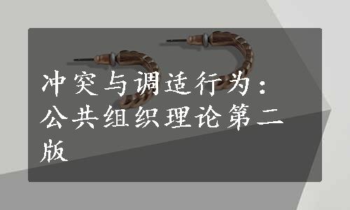 冲突与调适行为：公共组织理论第二版