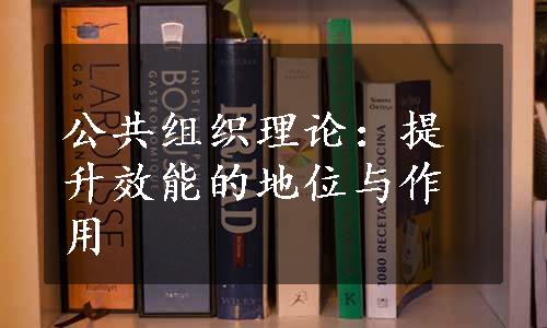 公共组织理论：提升效能的地位与作用