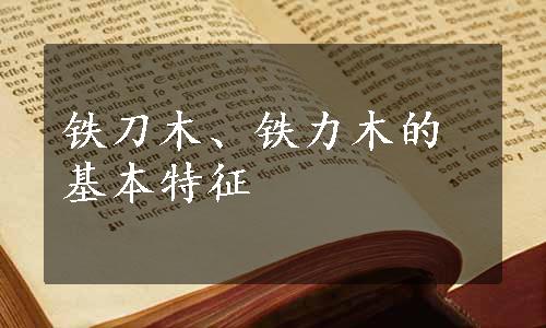 铁刀木、铁力木的基本特征