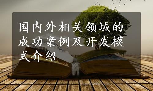 国内外相关领域的成功案例及开发模式介绍