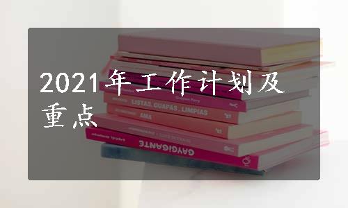 2021年工作计划及重点