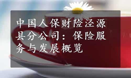 中国人保财险泾源县分公司：保险服务与发展概览