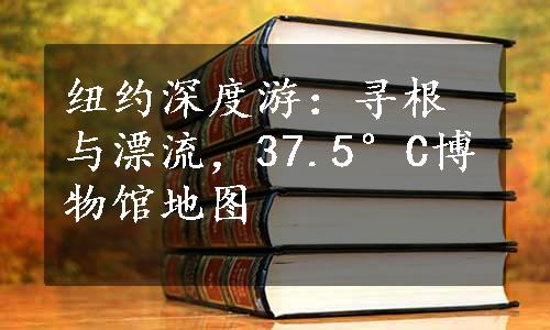 纽约深度游：寻根与漂流，37.5°C博物馆地图