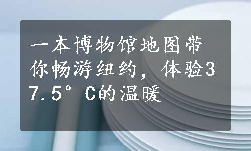 一本博物馆地图带你畅游纽约，体验37.5°C的温暖