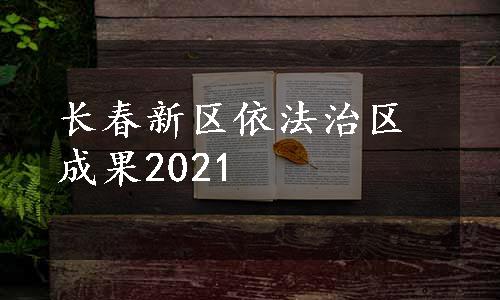 长春新区依法治区成果2021