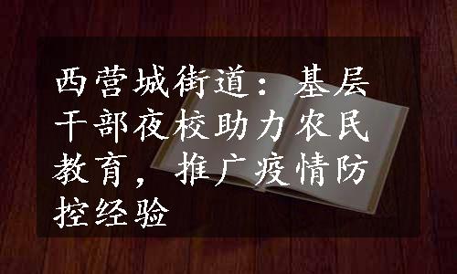 西营城街道：基层干部夜校助力农民教育，推广疫情防控经验