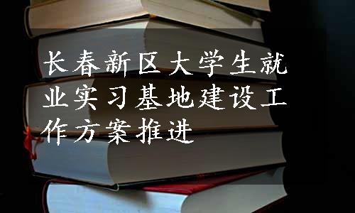 长春新区大学生就业实习基地建设工作方案推进