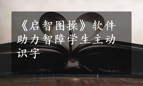 《启智图操》软件助力智障学生主动识字