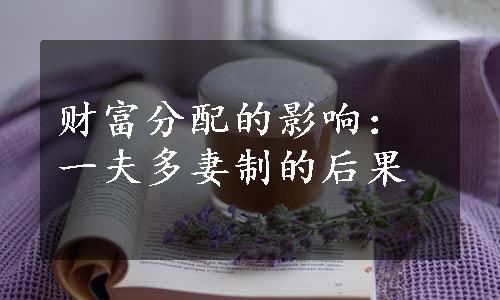 财富分配的影响：一夫多妻制的后果