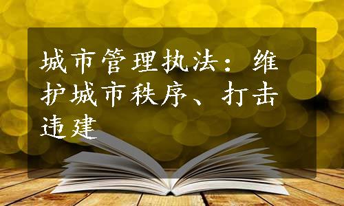 城市管理执法：维护城市秩序、打击违建