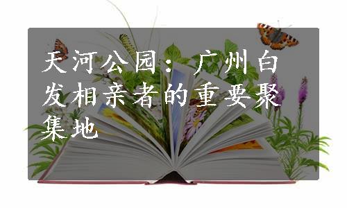 天河公园：广州白发相亲者的重要聚集地