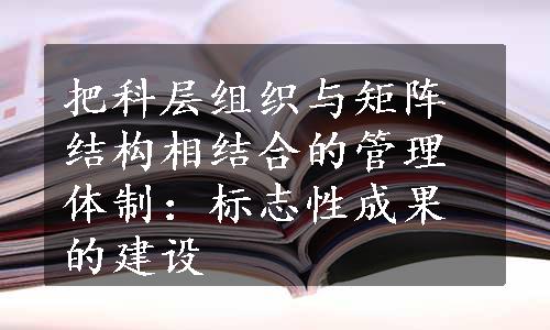 把科层组织与矩阵结构相结合的管理体制：标志性成果的建设