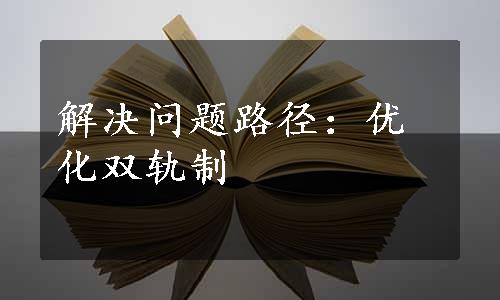 解决问题路径：优化双轨制