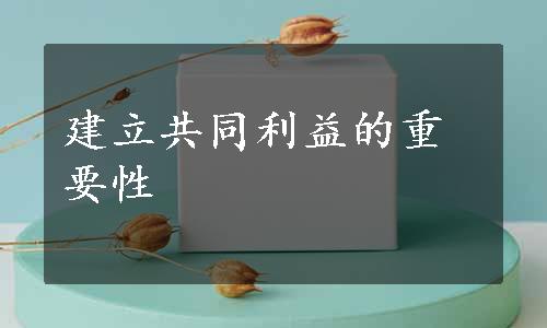 建立共同利益的重要性