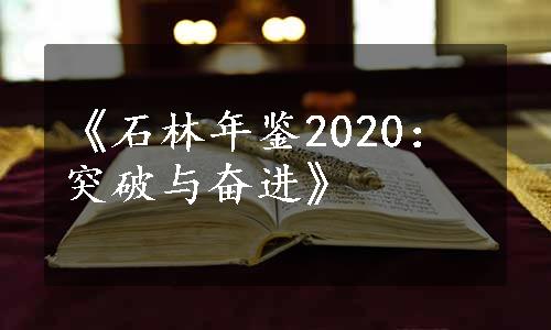 《石林年鉴2020：突破与奋进》