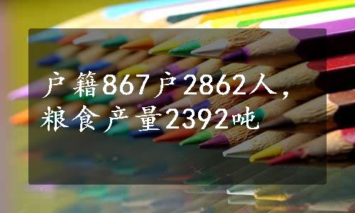 户籍867户2862人，粮食产量2392吨