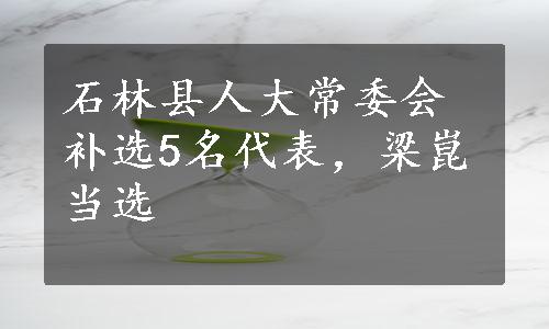 石林县人大常委会补选5名代表，梁崑当选
