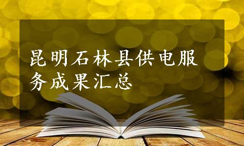 昆明石林县供电服务成果汇总