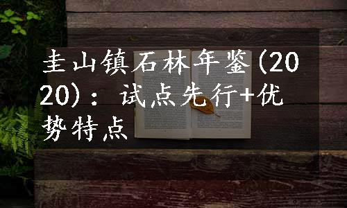 圭山镇石林年鉴(2020)：试点先行+优势特点