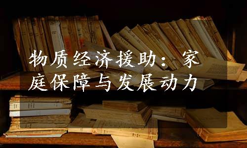 物质经济援助：家庭保障与发展动力