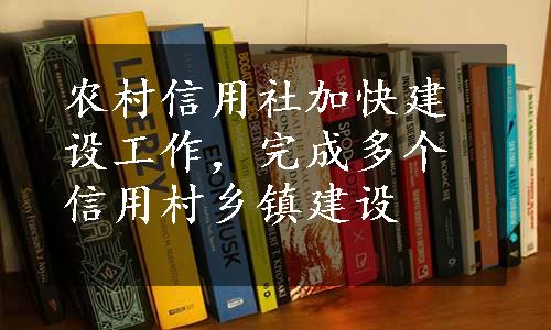 农村信用社加快建设工作，完成多个信用村乡镇建设