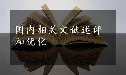 国内相关文献述评和优化