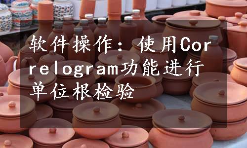 软件操作：使用Correlogram功能进行单位根检验