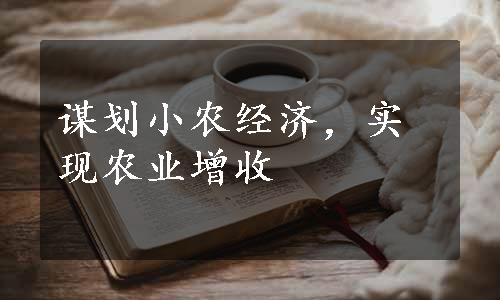 谋划小农经济，实现农业增收