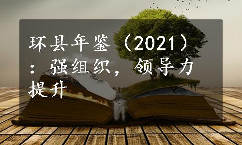 环县年鉴（2021）：强组织，领导力提升