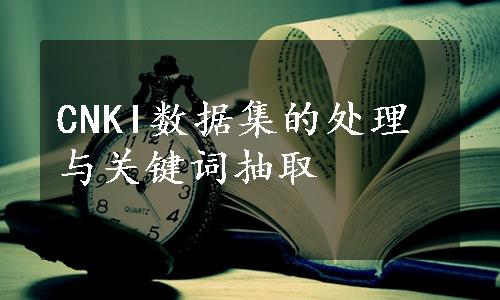 CNKI数据集的处理与关键词抽取