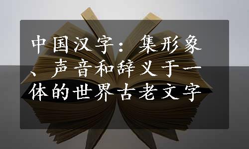 中国汉字：集形象、声音和辞义于一体的世界古老文字