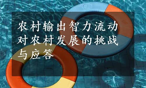 农村输出智力流动对农村发展的挑战与应答